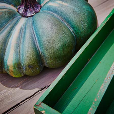 gourd photography