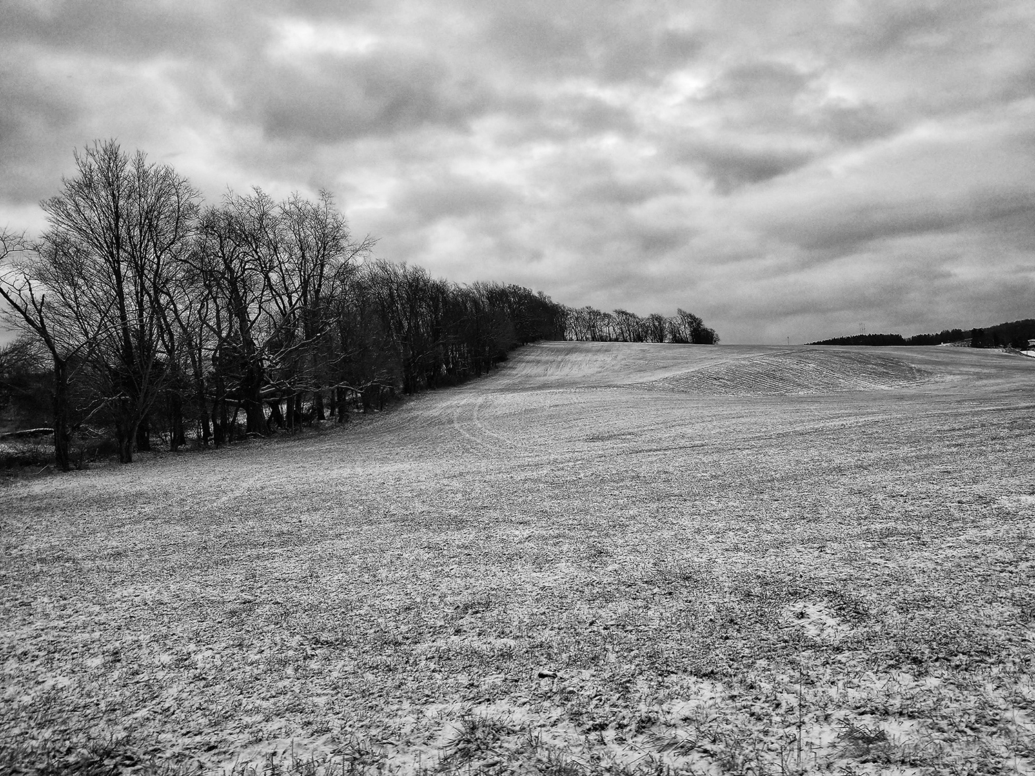 Fallow field ©2021 by bret wills