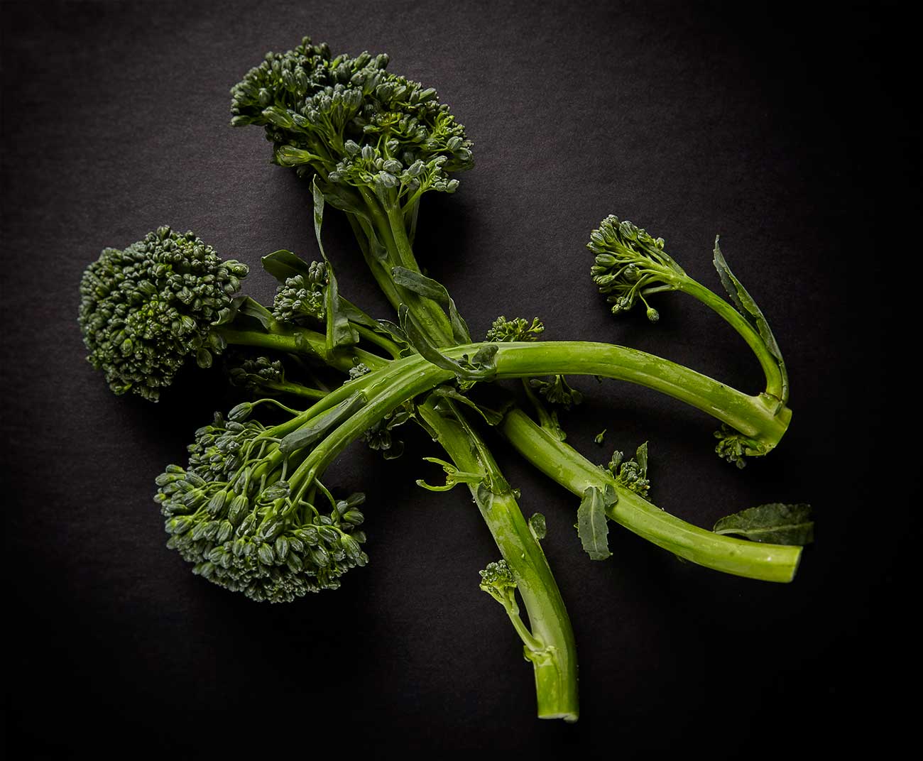 broccolini ©2016 by bret wills