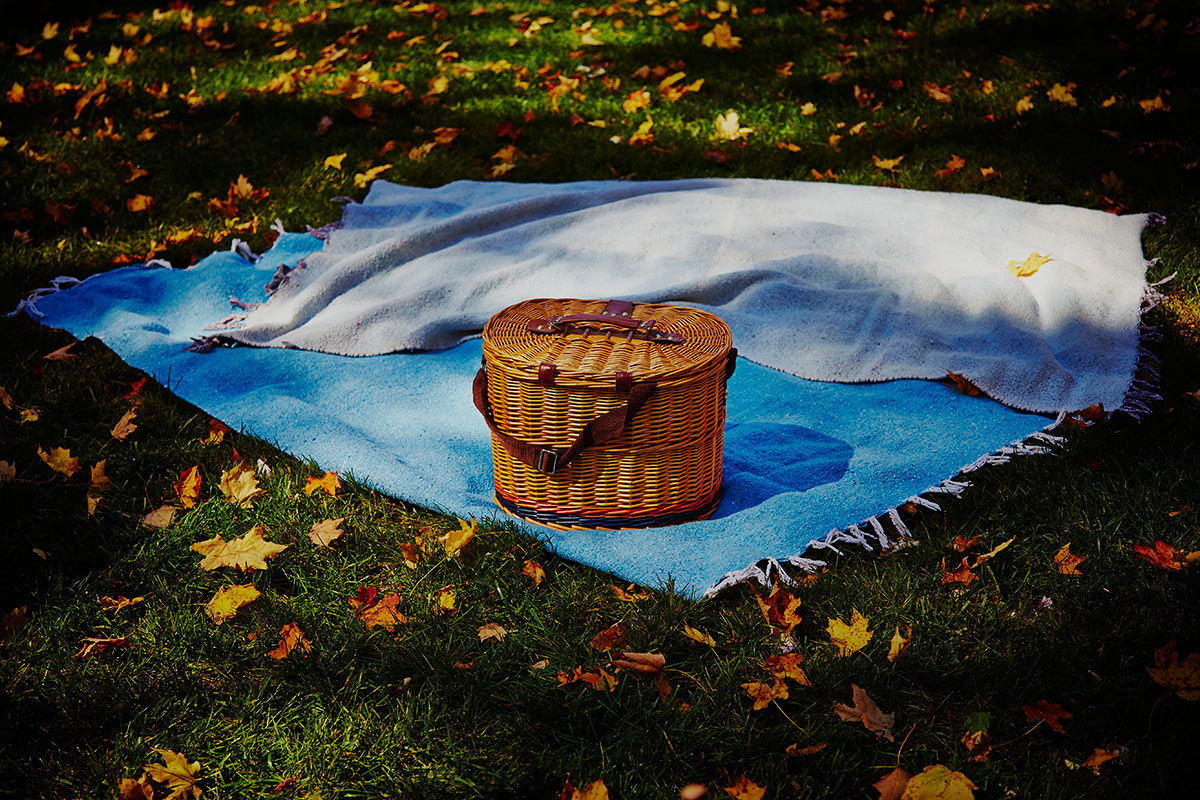 picnic photography by bret wills