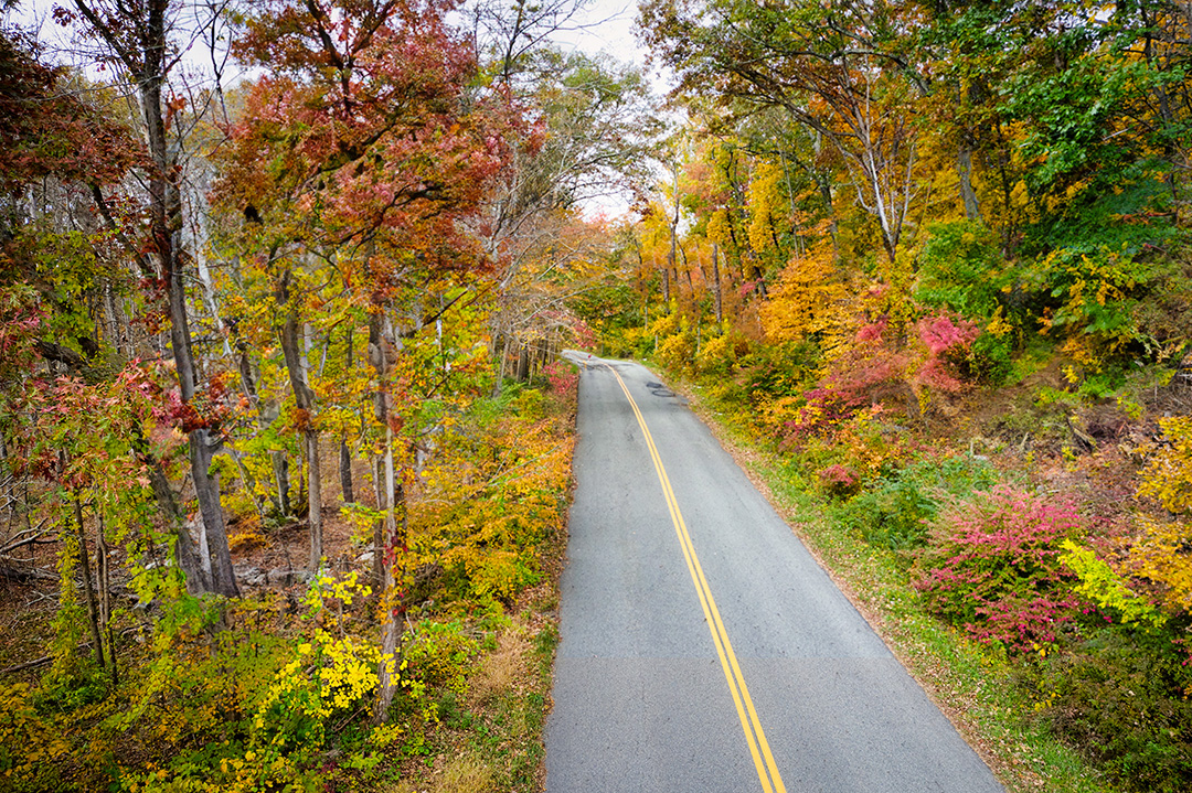 autumn road ©2023 by bret wills