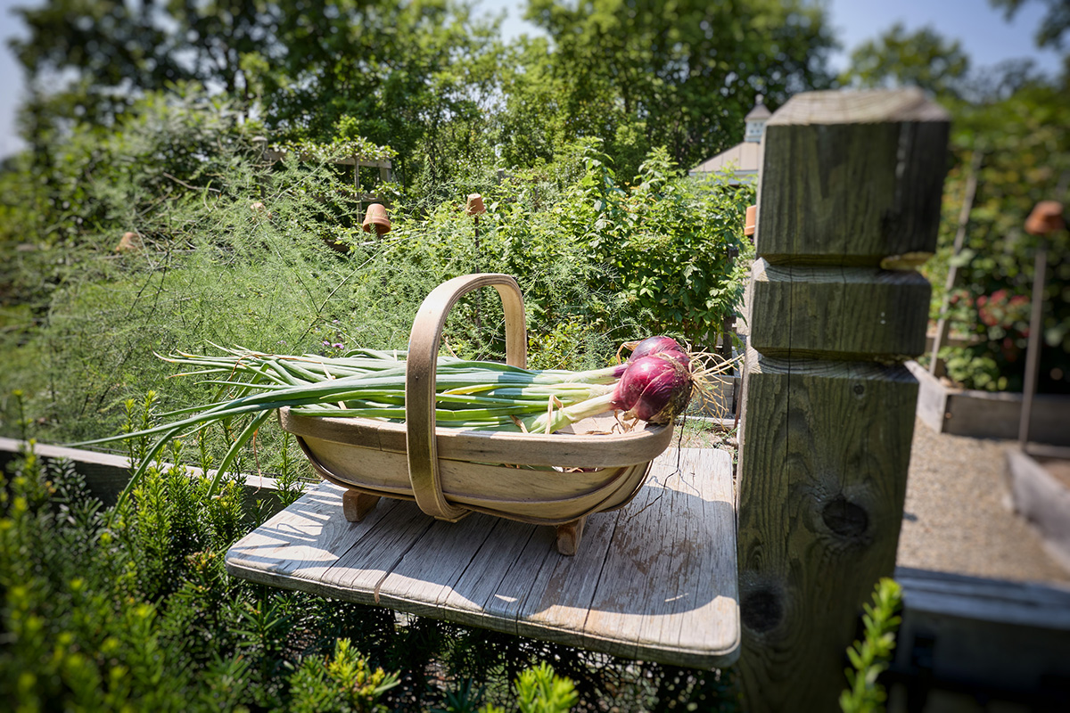 Tulsa arts district ©2025 bret wills