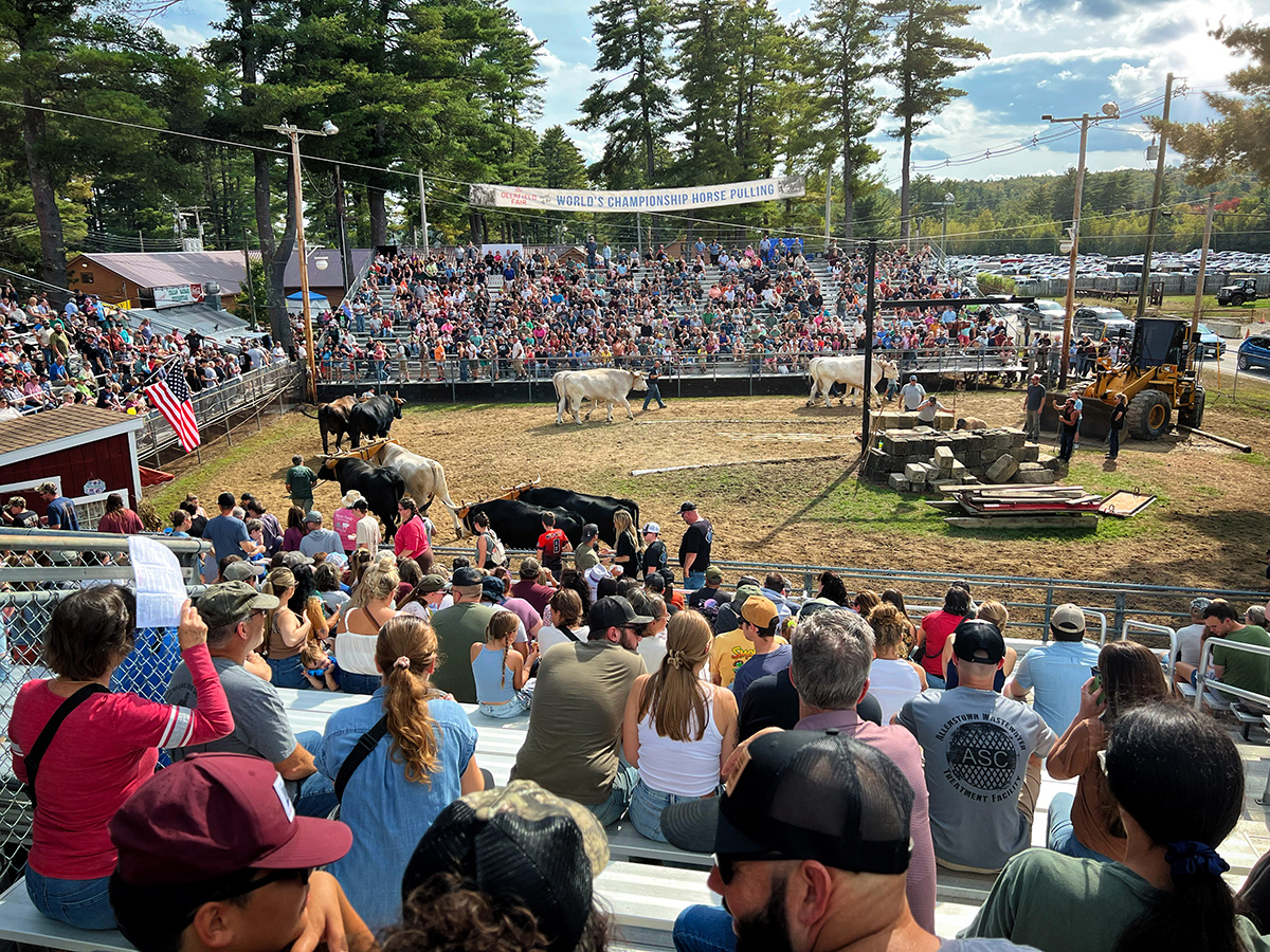 Stratford ©2025 by bret wills