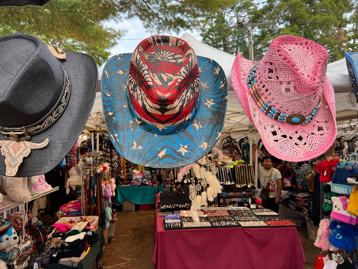 Graceland ©2025 by bret wills