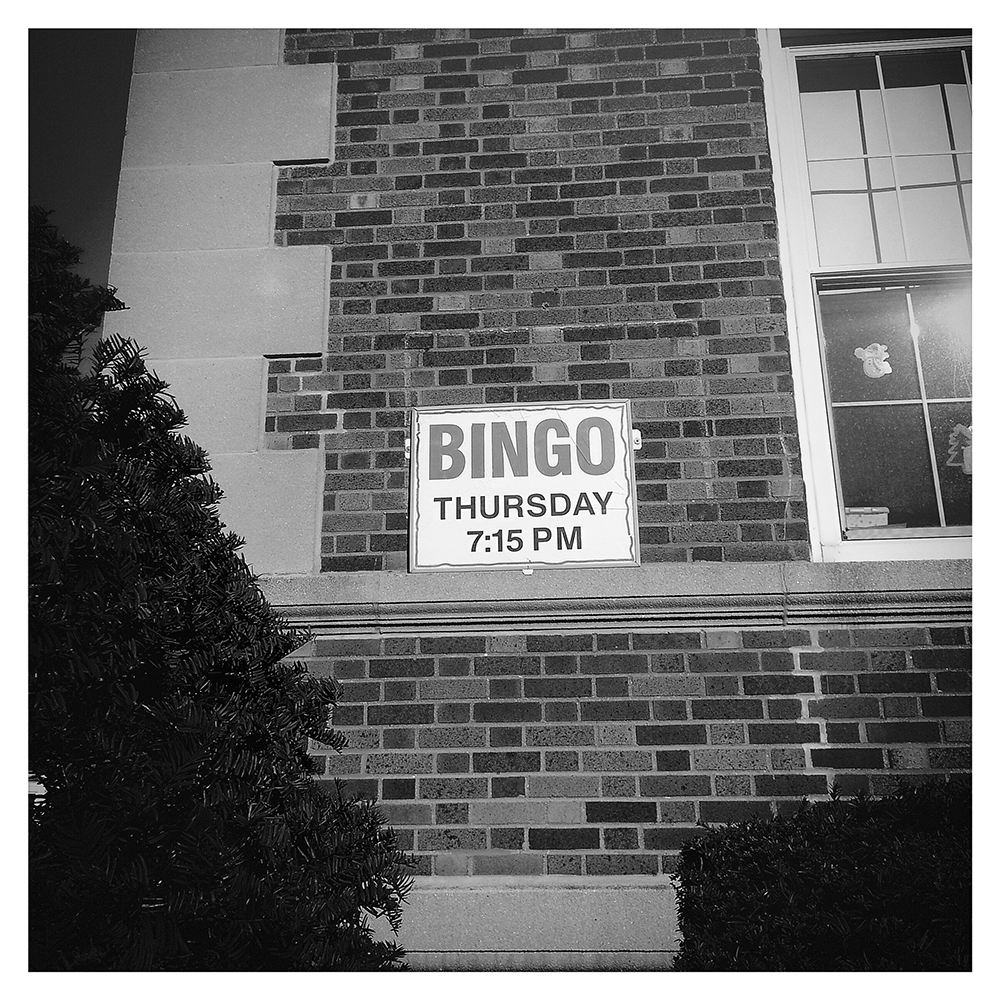 bingo ©2014 bret wills