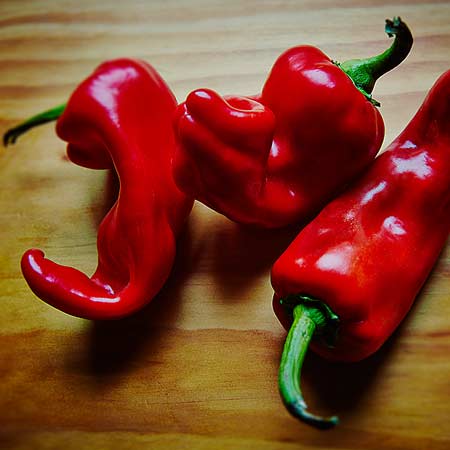 red pepper photo by bret wills