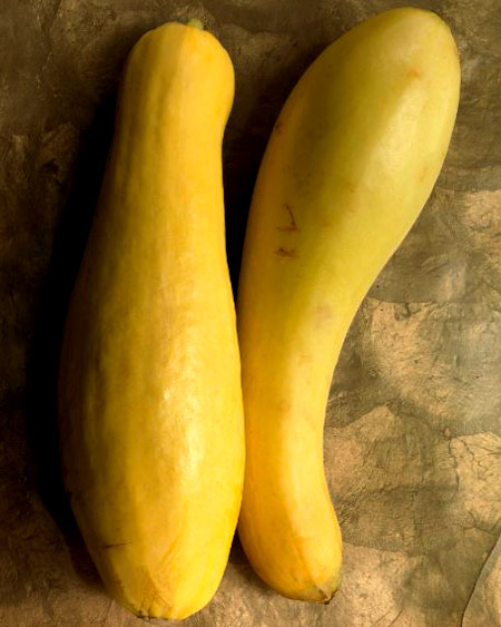 advertising still life photography by bret wills