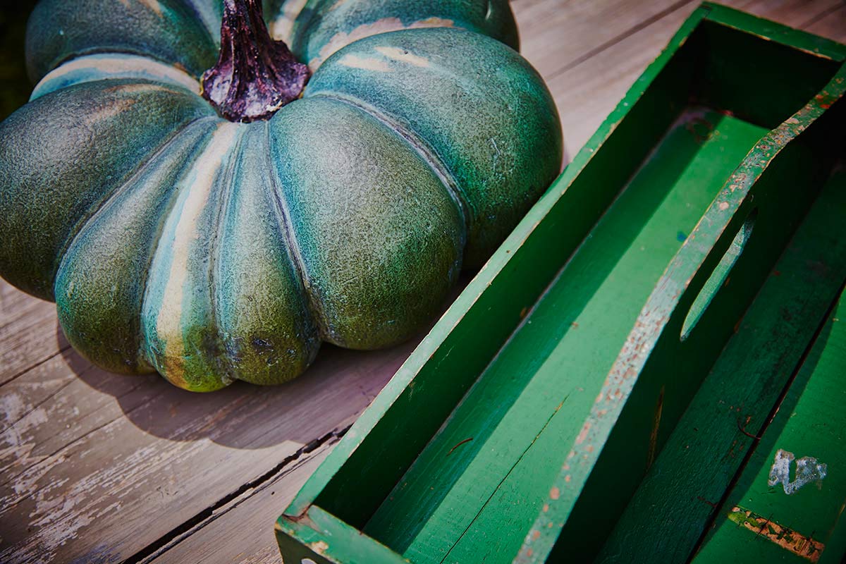 green gourd © 2014 bret wills