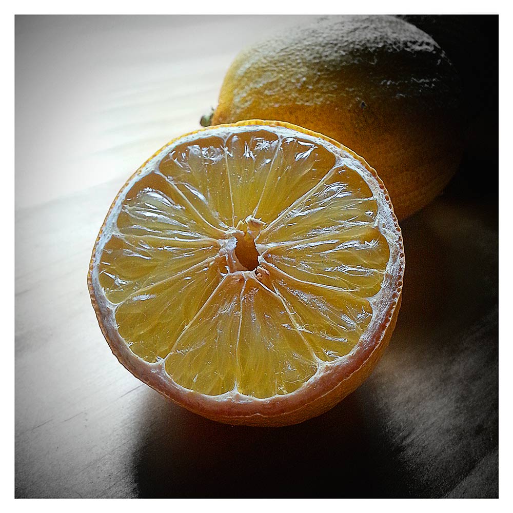 lemon tarte ©2014 bret wills